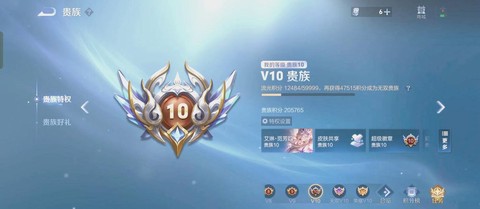 王者荣耀贵族怎么看[图2]