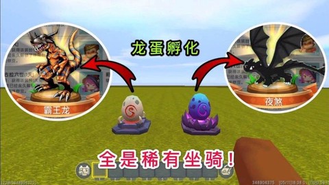 迷你世界的龙蛋怎么