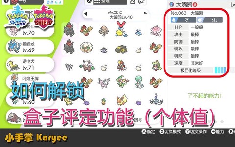 宝可梦怎么查看资质[图1]