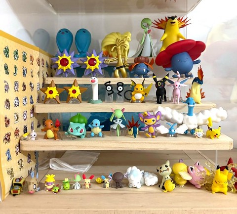 宝可梦怎么使用宝可梦盒[图1]