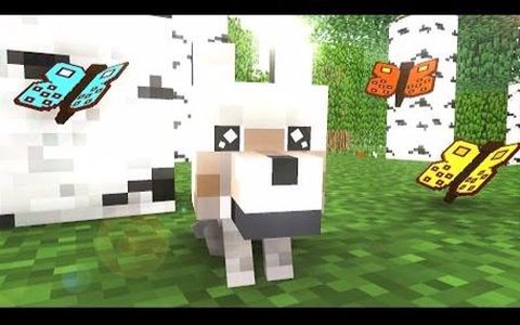 我的世界怎么变成狼人[图2]